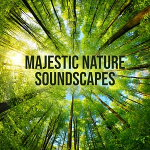 Jazz for Office - Morning Jazz Background Club