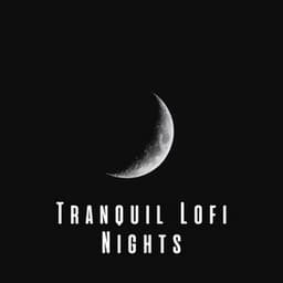 Tranquil Lofi Nights: Sleepy Soundscapes - Lofi Night Drives
