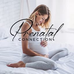 Prenatal Connection - Peaceful Pregnancy Musical Kit
