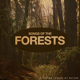 Songs of the Forests - Relaxing Sounds Of Nature
