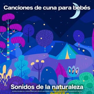 Canciones de cuna para bebés: Sonidos de la naturaleza, sonidos de pájaros y música suave para dormir para bebés, ayuda para dormir y música tranquila para dormir - Musica Para Dormir Bebes