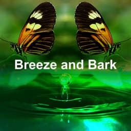 Breeze and Bark - Mountain Man Recordings