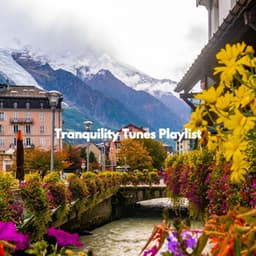 Tranquility Tunes Playlist - Musik zum Kochen