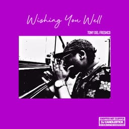 Wishing You Well - Tony Del Freshco