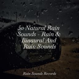 50 Natural Rain Sounds - Rain & Binaural And Rain Sounds - Nature Sound Collection
