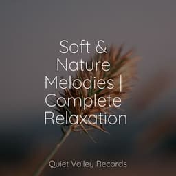 Soft & Nature Melodies | Complete Relaxation - Naturaleza Sonidos
