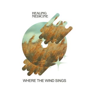 Where the Wind Sings - Healing Medicine