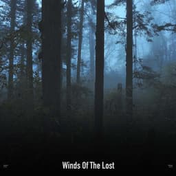 !!!!" Winds Of The Lost "!!!! - The Citizens of Halloween