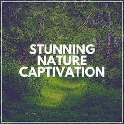 Stunning Nature Captivation - The Forest Escape