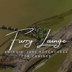 Harmony of Canine Jazz: Coffee Lounge Serenades for Your Pooch - Calming Dog Music