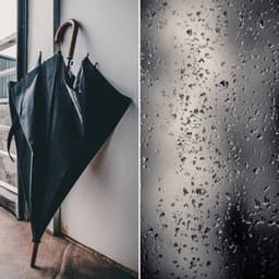 Wicked Bgm for Calming Fridays - Easy Listening Afternoon Music