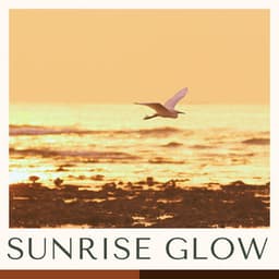 Sunrise Glow: Best Bossa Nova Music - Bossa Nova Cafe Music