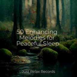 50 Enhancing Melodies for Peaceful Sleep - kinderliedjes