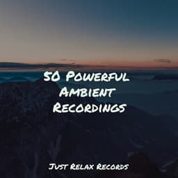 50 Powerful Ambient Recordings - Meditation Awareness