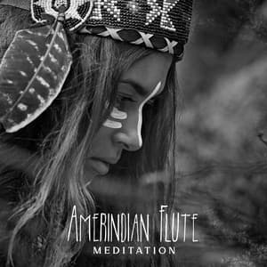 Amerindian Flute Meditation: Relaxing Native Music for Stress Relief, Healing and Positive Energy - Free Your Mind Club