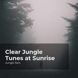 Clear Jungle Tunes at Sunrise - Jungle Rain