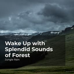 Wake Up with Splendid Sounds of Forest - Jungle Rain