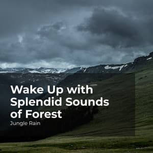 Wake Up with Splendid Sounds of Forest - Jungle Rain