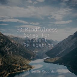 50 Mindfulness Songs for Instant Relaxation - Lounge relax