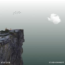 risk=reward - Strick