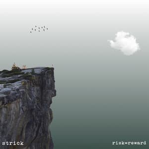 risk=reward - Strick