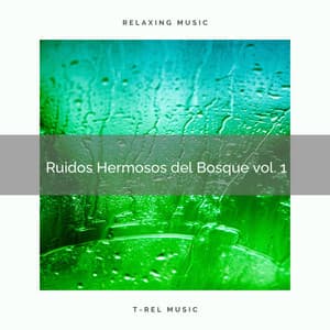 1 Ruidos Hermosos del Bosque vol. 1 - Sonidos de la Naturaleza para Dormir
