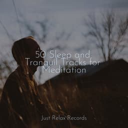 50 Sleep and Tranquil Tracks for Meditation - Rest & Relax Nature Sounds Artists
