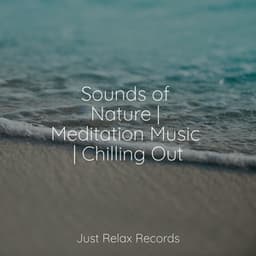 Sounds of Nature | Meditation Music | Chilling Out - Musica para Meditar