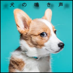 犬の鳴き声 - Eny Time
