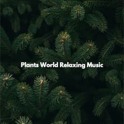 Plants World Relaxing Music - Coffee Shop Smooth Jazz