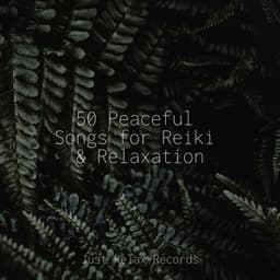50 Peaceful Songs for Reiki & Relaxation - Spa Relaxation & Spa