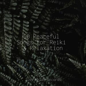 50 Peaceful Songs for Reiki & Relaxation - Spa Relaxation & Spa