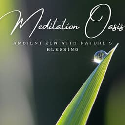 Rainfall Meditation Oasis: Ambient Zen with Nature's Blessing - Calm Sleep Rain Sound