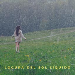 Locura Del Sol Líquido - Muestreo de lluvia profunda