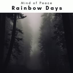 1 0 1 Rainbow Days - Mind of Peace