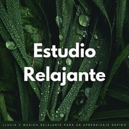 Estudio Relajante: Lluvia Y Música Relajante Para Un Aprendizaje Rápido - Fábrica de Sonidos de Lluvia STHLM