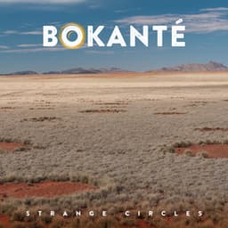 Strange Circles - Bokanté