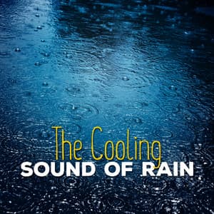 The Cooling Sound of Rain - The Relaxing Sounds of Water