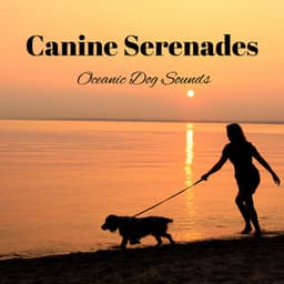 Canine Serenades: Oceanic Dog Sounds - Ocean Sounds