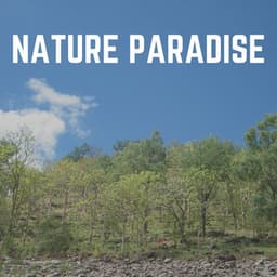 Nature Paradise - Nature Ambience