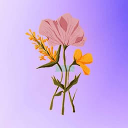 Fantastic Backdrop for Best Octobers - Happy Sunday Morning Music