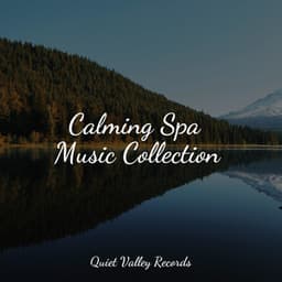 Calming Spa Music Collection - Water Soundscapes