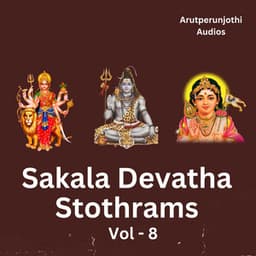 Sakala Devatha Stothrams, Vol. 8 - Rahul K. Raveendran