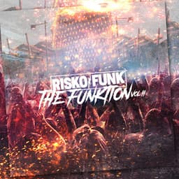 The Funktion, Vol. 2 - Risko Funk