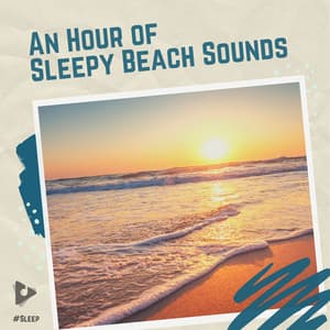An Hour of Sleepy Beach Sounds - #Sleep