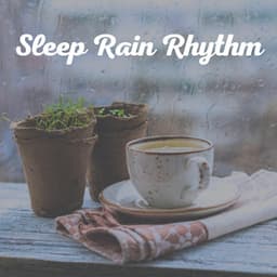 Sleep Rain Rhythm - Rain Drops for Sleep