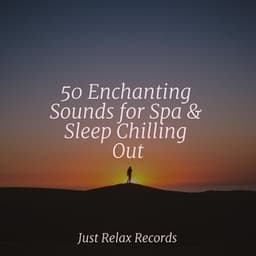 50 Enchanting Sounds for Spa & Sleep Chilling Out - Dog Music