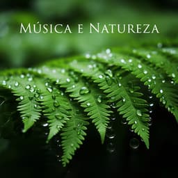 Música e Natureza: Floresta Tropical, Pássaros, Jardim Botânico - Hipnose Natureza Sons Coleção