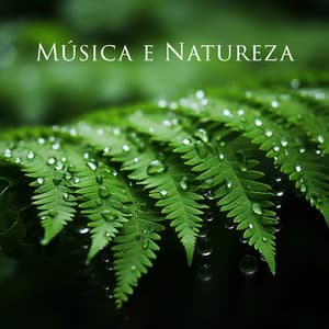 Música e Natureza: Floresta Tropical, Pássaros, Jardim Botânico - Hipnose Natureza Sons Coleção