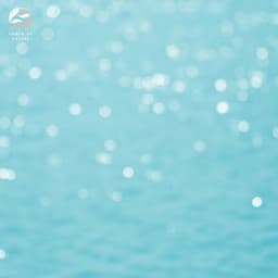 Mindful Meditation - Tamera